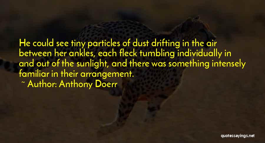 Anthony Doerr Quotes: He Could See Tiny Particles Of Dust Drifting In The Air Between Her Ankles, Each Fleck Tumbling Individually In And