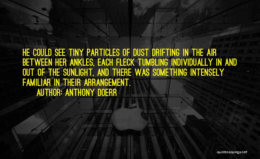 Anthony Doerr Quotes: He Could See Tiny Particles Of Dust Drifting In The Air Between Her Ankles, Each Fleck Tumbling Individually In And