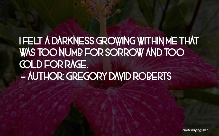 Gregory David Roberts Quotes: I Felt A Darkness Growing Within Me That Was Too Numb For Sorrow And Too Cold For Rage.