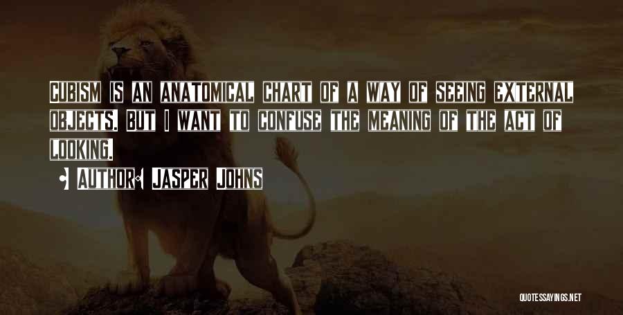 Jasper Johns Quotes: Cubism Is An Anatomical Chart Of A Way Of Seeing External Objects. But I Want To Confuse The Meaning Of