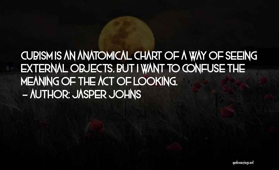 Jasper Johns Quotes: Cubism Is An Anatomical Chart Of A Way Of Seeing External Objects. But I Want To Confuse The Meaning Of