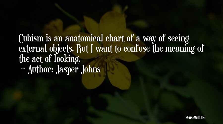 Jasper Johns Quotes: Cubism Is An Anatomical Chart Of A Way Of Seeing External Objects. But I Want To Confuse The Meaning Of