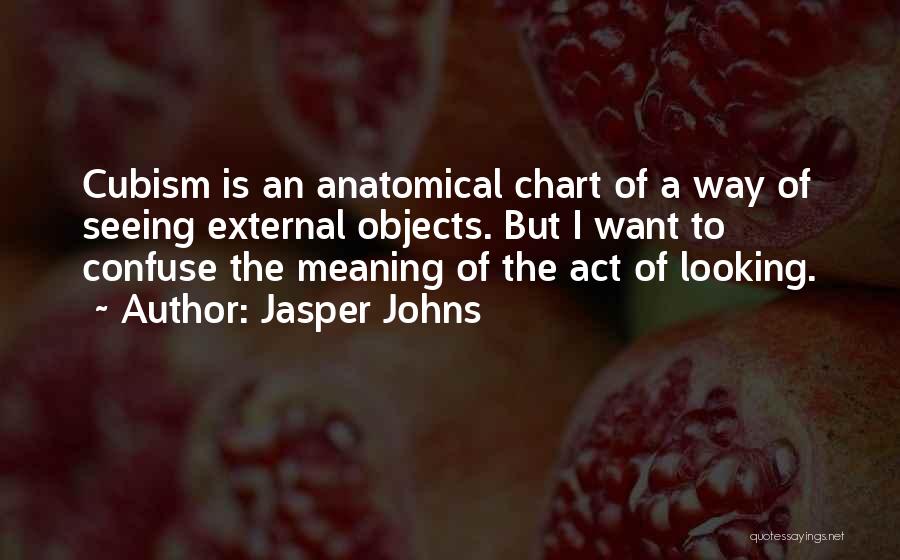 Jasper Johns Quotes: Cubism Is An Anatomical Chart Of A Way Of Seeing External Objects. But I Want To Confuse The Meaning Of