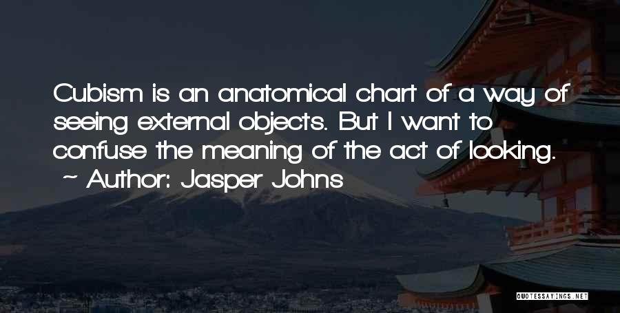 Jasper Johns Quotes: Cubism Is An Anatomical Chart Of A Way Of Seeing External Objects. But I Want To Confuse The Meaning Of