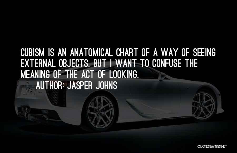 Jasper Johns Quotes: Cubism Is An Anatomical Chart Of A Way Of Seeing External Objects. But I Want To Confuse The Meaning Of
