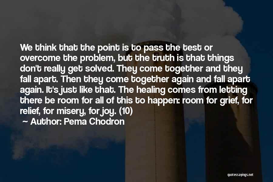 Pema Chodron Quotes: We Think That The Point Is To Pass The Test Or Overcome The Problem, But The Truth Is That Things