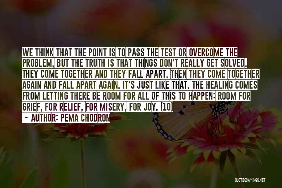 Pema Chodron Quotes: We Think That The Point Is To Pass The Test Or Overcome The Problem, But The Truth Is That Things