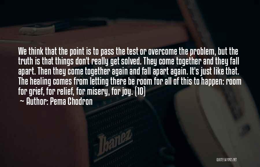 Pema Chodron Quotes: We Think That The Point Is To Pass The Test Or Overcome The Problem, But The Truth Is That Things