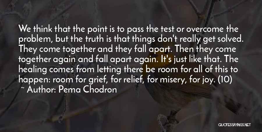 Pema Chodron Quotes: We Think That The Point Is To Pass The Test Or Overcome The Problem, But The Truth Is That Things