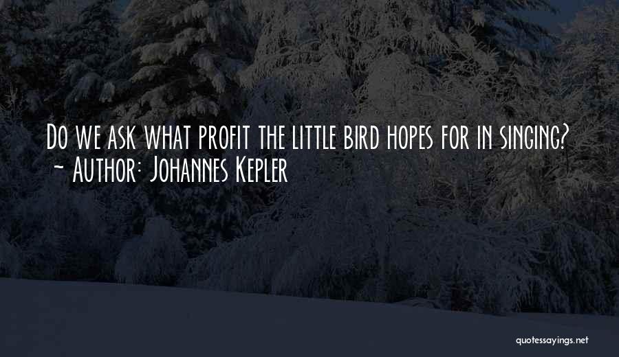 Johannes Kepler Quotes: Do We Ask What Profit The Little Bird Hopes For In Singing?