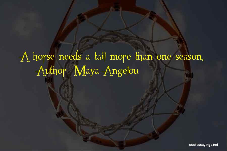 Maya Angelou Quotes: A Horse Needs A Tail More Than One Season.