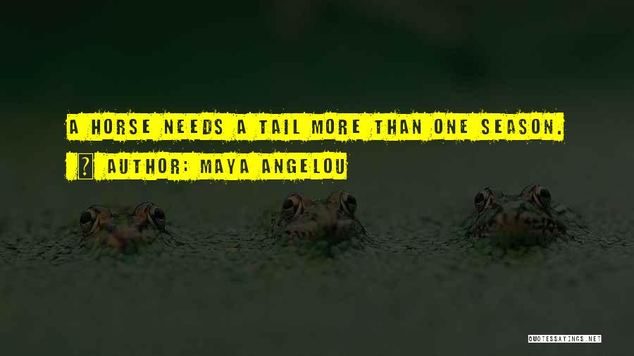 Maya Angelou Quotes: A Horse Needs A Tail More Than One Season.