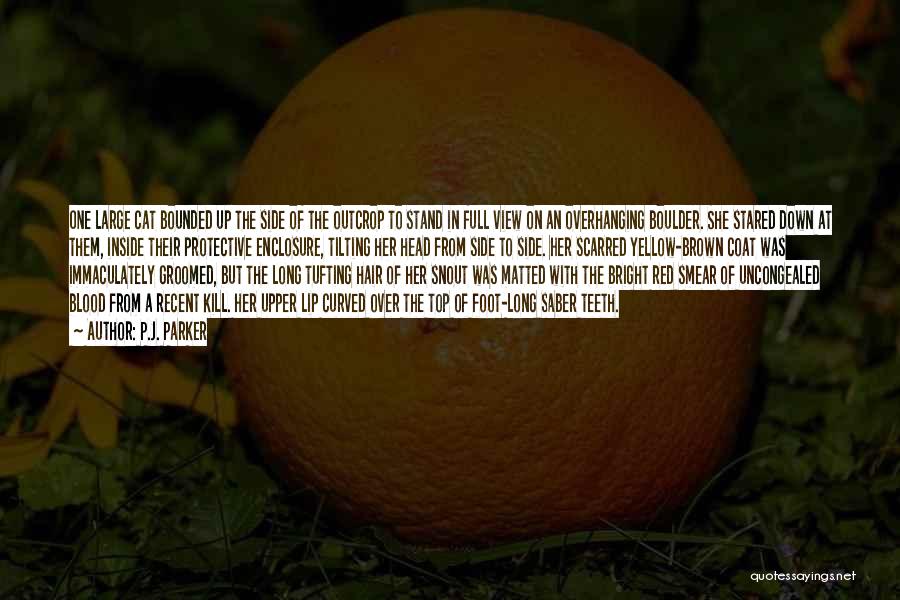 P.J. Parker Quotes: One Large Cat Bounded Up The Side Of The Outcrop To Stand In Full View On An Overhanging Boulder. She