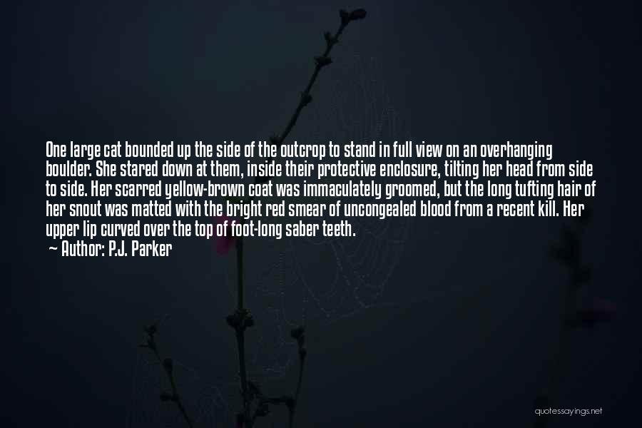 P.J. Parker Quotes: One Large Cat Bounded Up The Side Of The Outcrop To Stand In Full View On An Overhanging Boulder. She