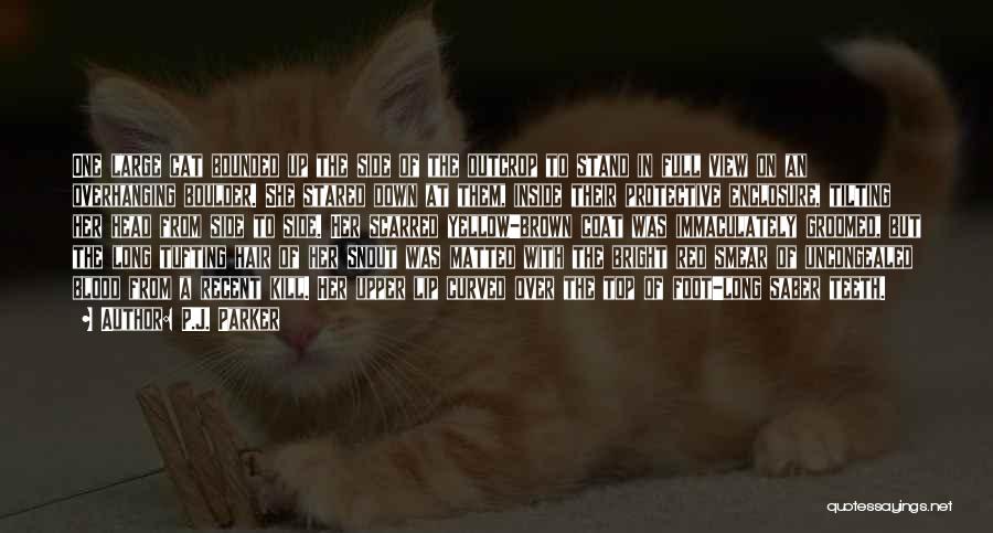 P.J. Parker Quotes: One Large Cat Bounded Up The Side Of The Outcrop To Stand In Full View On An Overhanging Boulder. She