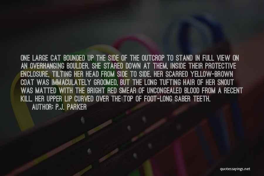 P.J. Parker Quotes: One Large Cat Bounded Up The Side Of The Outcrop To Stand In Full View On An Overhanging Boulder. She