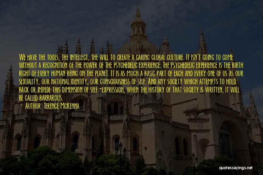 Terence McKenna Quotes: We Have The Tools, The Intellect, The Will To Create A Caring Global Culture. It Isn't Going To Come Without