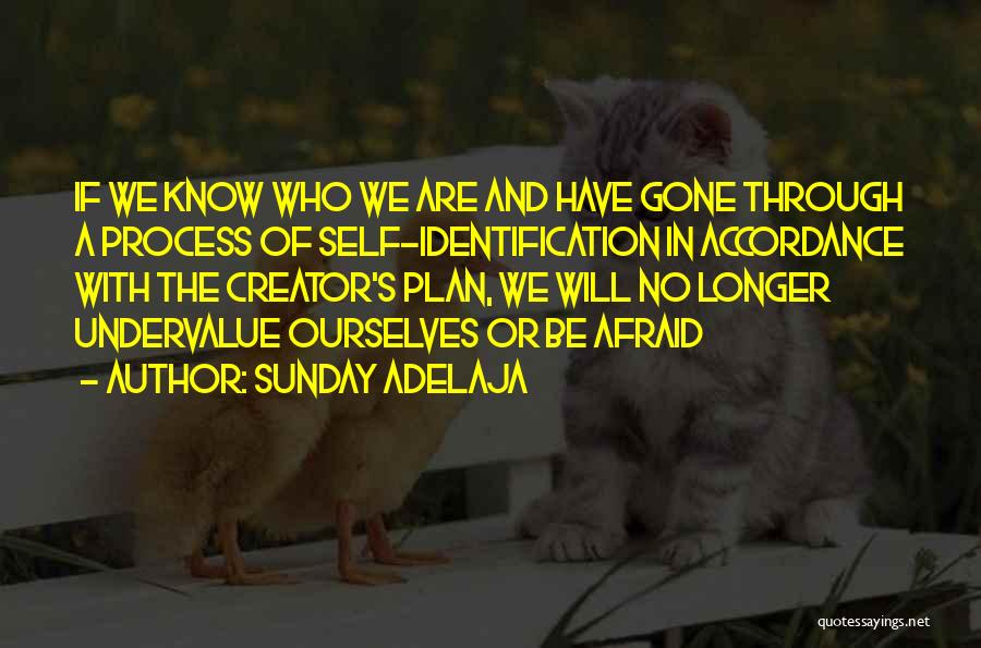 Sunday Adelaja Quotes: If We Know Who We Are And Have Gone Through A Process Of Self-identification In Accordance With The Creator's Plan,