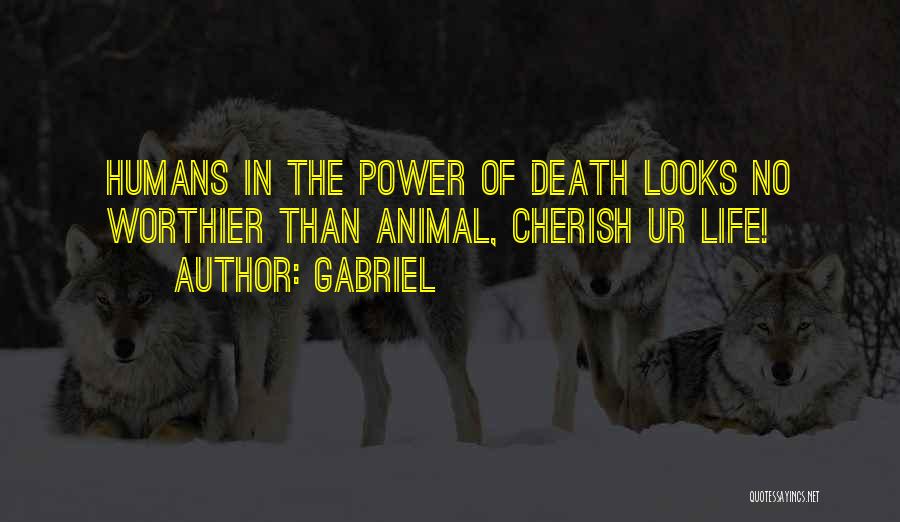 Gabriel Quotes: Humans In The Power Of Death Looks No Worthier Than Animal, Cherish Ur Life!