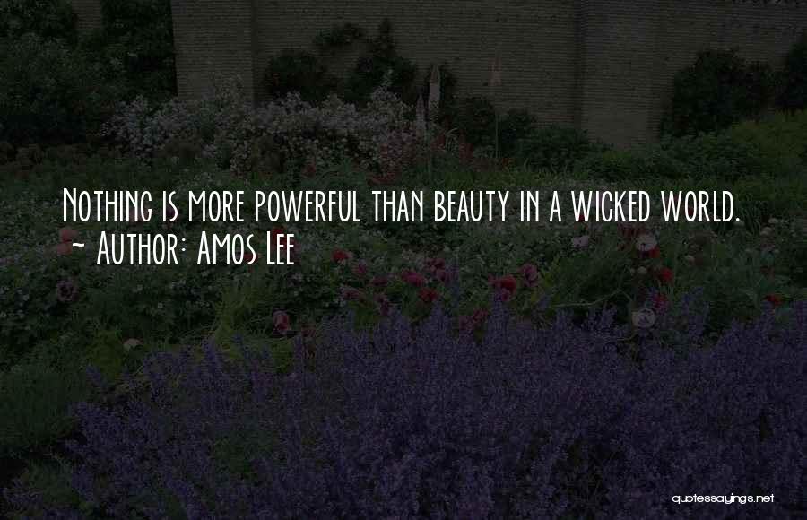 Amos Lee Quotes: Nothing Is More Powerful Than Beauty In A Wicked World.
