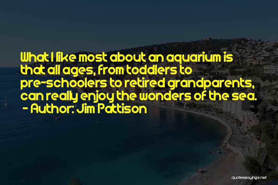 Jim Pattison Quotes: What I Like Most About An Aquarium Is That All Ages, From Toddlers To Pre-schoolers To Retired Grandparents, Can Really