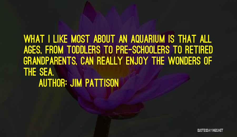 Jim Pattison Quotes: What I Like Most About An Aquarium Is That All Ages, From Toddlers To Pre-schoolers To Retired Grandparents, Can Really