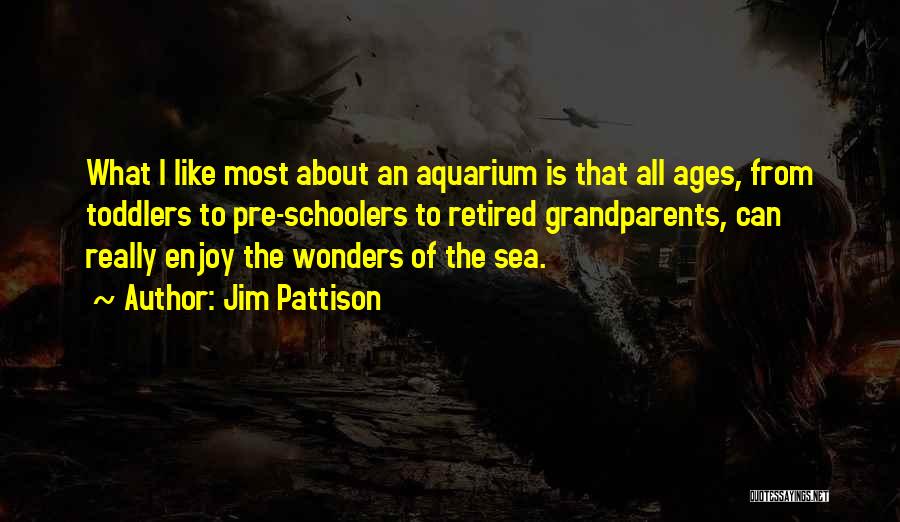 Jim Pattison Quotes: What I Like Most About An Aquarium Is That All Ages, From Toddlers To Pre-schoolers To Retired Grandparents, Can Really