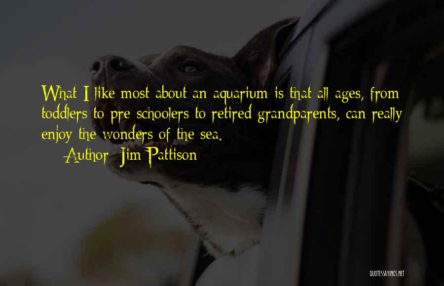 Jim Pattison Quotes: What I Like Most About An Aquarium Is That All Ages, From Toddlers To Pre-schoolers To Retired Grandparents, Can Really