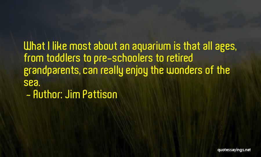 Jim Pattison Quotes: What I Like Most About An Aquarium Is That All Ages, From Toddlers To Pre-schoolers To Retired Grandparents, Can Really