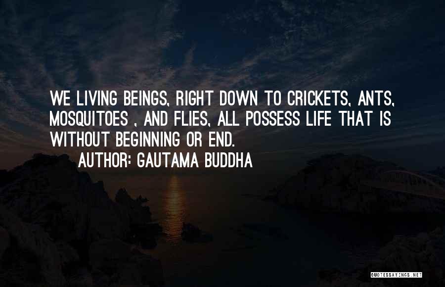 Gautama Buddha Quotes: We Living Beings, Right Down To Crickets, Ants, Mosquitoes , And Flies, All Possess Life That Is Without Beginning Or