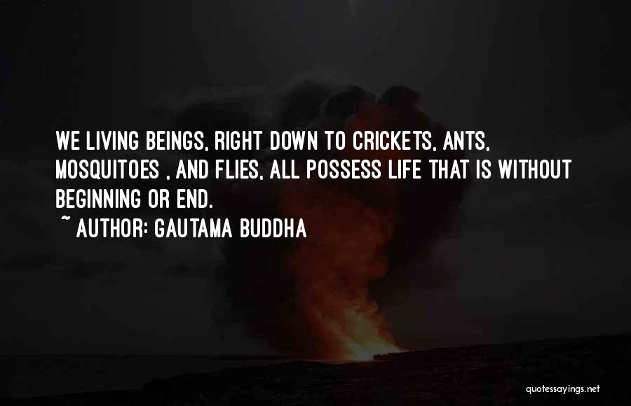 Gautama Buddha Quotes: We Living Beings, Right Down To Crickets, Ants, Mosquitoes , And Flies, All Possess Life That Is Without Beginning Or