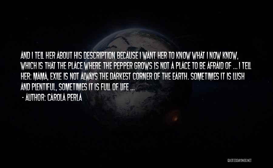 Carola Perla Quotes: And I Tell Her About His Description Because I Want Her To Know What I Now Know, Which Is That