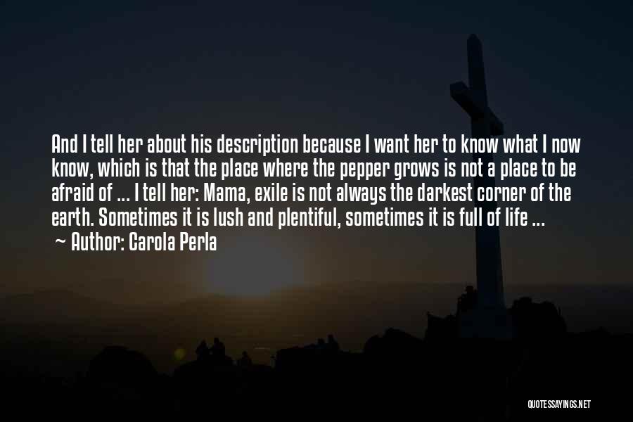 Carola Perla Quotes: And I Tell Her About His Description Because I Want Her To Know What I Now Know, Which Is That