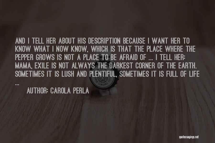 Carola Perla Quotes: And I Tell Her About His Description Because I Want Her To Know What I Now Know, Which Is That