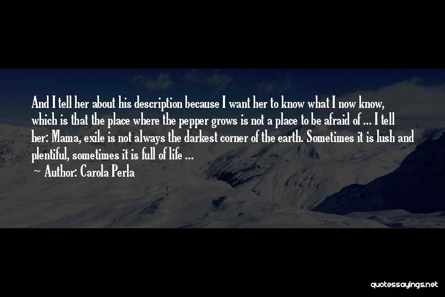 Carola Perla Quotes: And I Tell Her About His Description Because I Want Her To Know What I Now Know, Which Is That