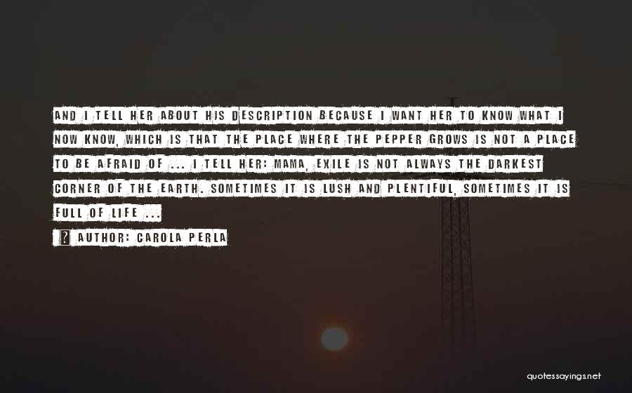 Carola Perla Quotes: And I Tell Her About His Description Because I Want Her To Know What I Now Know, Which Is That