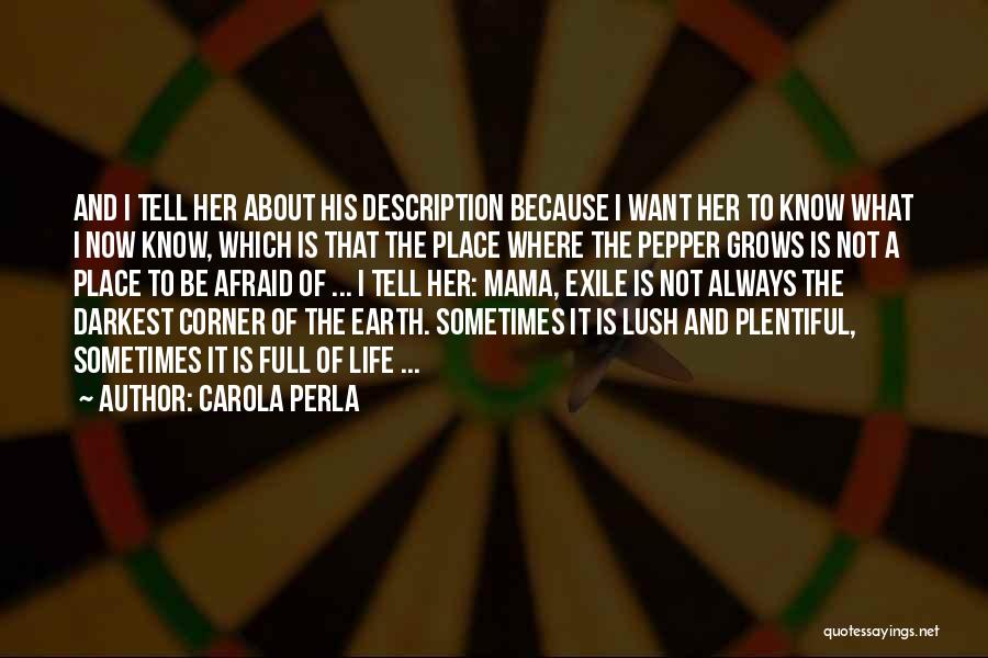 Carola Perla Quotes: And I Tell Her About His Description Because I Want Her To Know What I Now Know, Which Is That