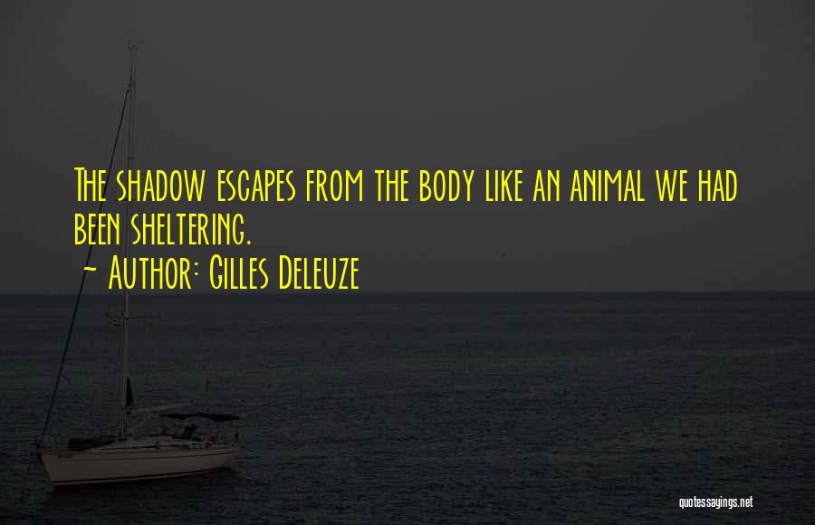 Gilles Deleuze Quotes: The Shadow Escapes From The Body Like An Animal We Had Been Sheltering.