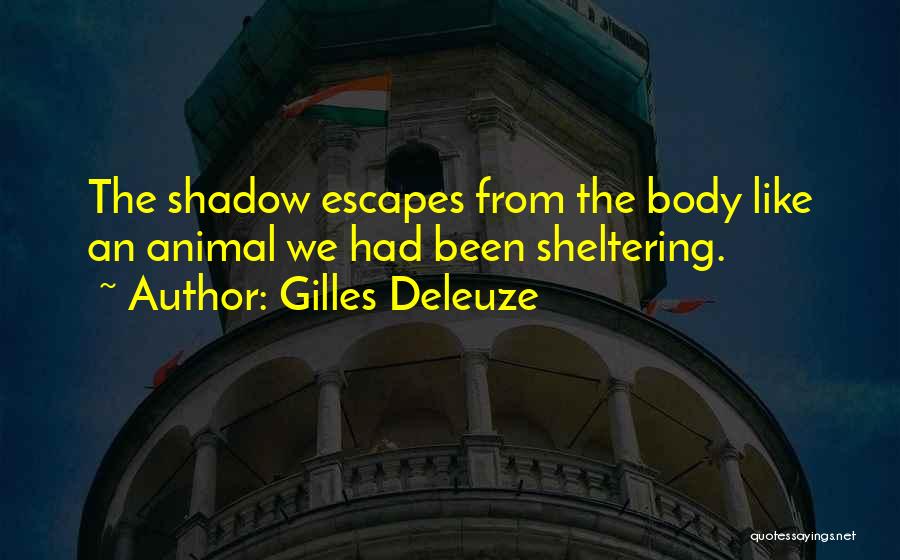 Gilles Deleuze Quotes: The Shadow Escapes From The Body Like An Animal We Had Been Sheltering.