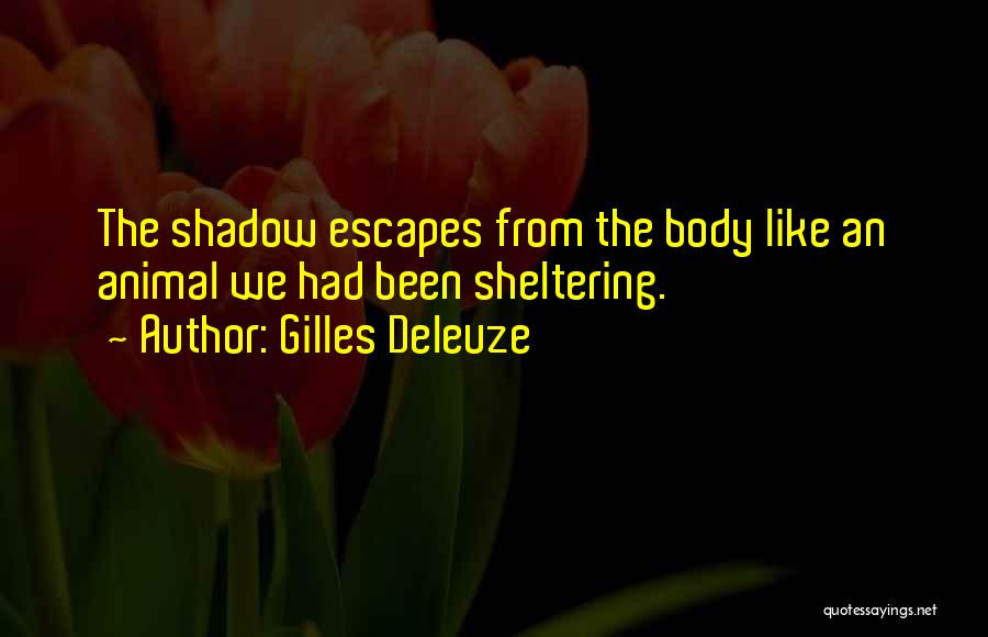 Gilles Deleuze Quotes: The Shadow Escapes From The Body Like An Animal We Had Been Sheltering.