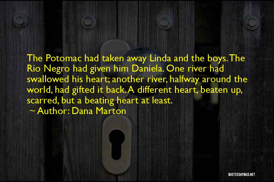 Dana Marton Quotes: The Potomac Had Taken Away Linda And The Boys. The Rio Negro Had Given Him Daniela. One River Had Swallowed