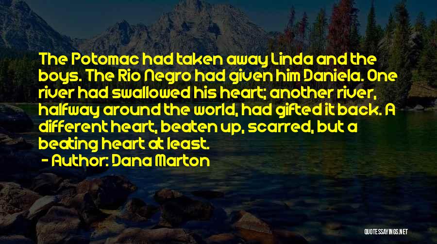 Dana Marton Quotes: The Potomac Had Taken Away Linda And The Boys. The Rio Negro Had Given Him Daniela. One River Had Swallowed