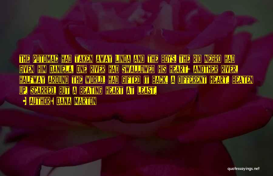 Dana Marton Quotes: The Potomac Had Taken Away Linda And The Boys. The Rio Negro Had Given Him Daniela. One River Had Swallowed