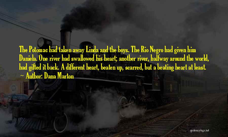 Dana Marton Quotes: The Potomac Had Taken Away Linda And The Boys. The Rio Negro Had Given Him Daniela. One River Had Swallowed