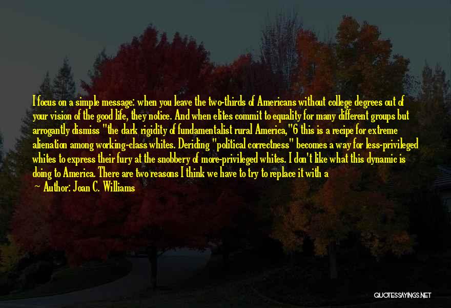 Joan C. Williams Quotes: I Focus On A Simple Message: When You Leave The Two-thirds Of Americans Without College Degrees Out Of Your Vision