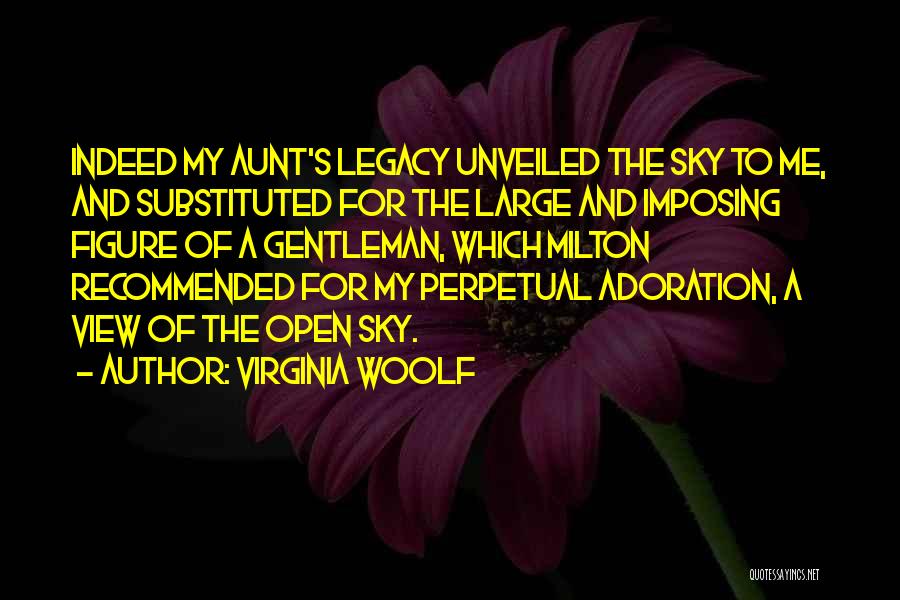 Virginia Woolf Quotes: Indeed My Aunt's Legacy Unveiled The Sky To Me, And Substituted For The Large And Imposing Figure Of A Gentleman,