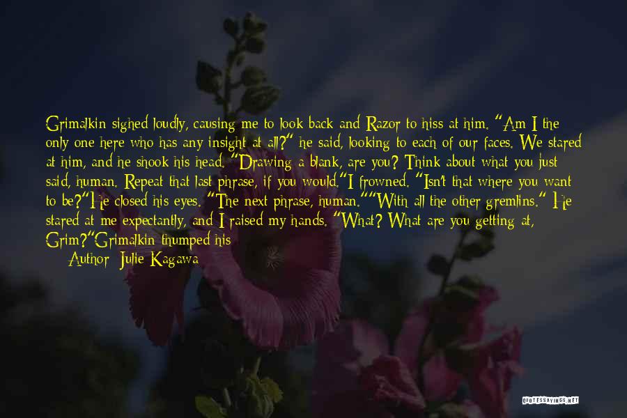 Julie Kagawa Quotes: Grimalkin Sighed Loudly, Causing Me To Look Back And Razor To Hiss At Him. Am I The Only One Here