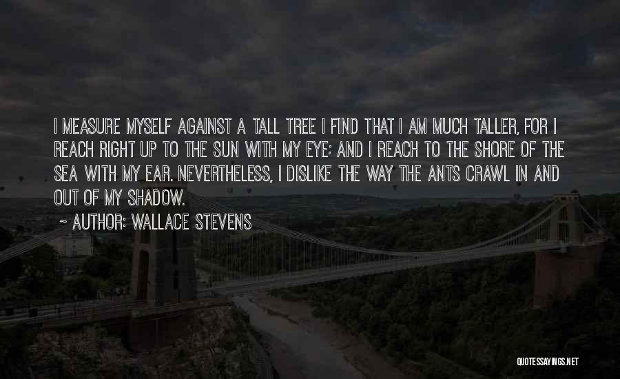 Wallace Stevens Quotes: I Measure Myself Against A Tall Tree I Find That I Am Much Taller, For I Reach Right Up To