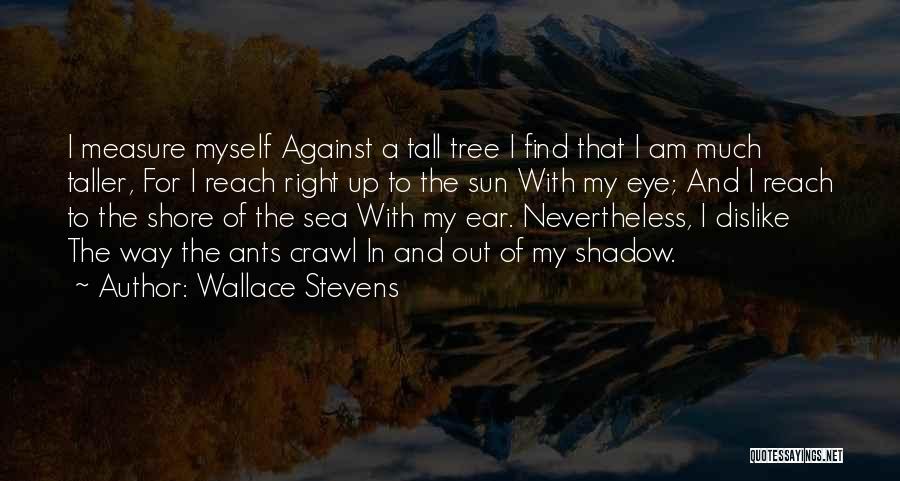 Wallace Stevens Quotes: I Measure Myself Against A Tall Tree I Find That I Am Much Taller, For I Reach Right Up To