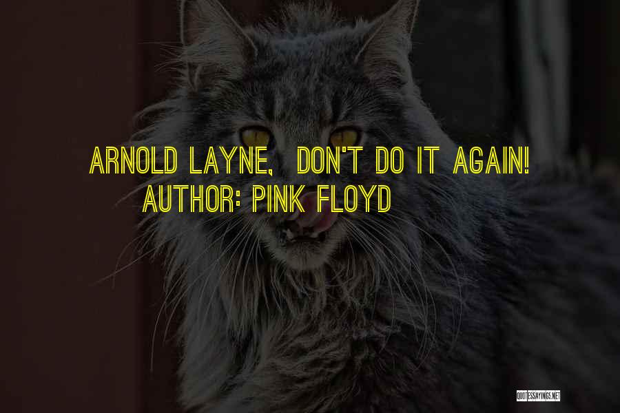 Pink Floyd Quotes: Arnold Layne, Don't Do It Again!